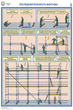 ПС26 Строительные леса (конструкции, монтаж, проверка на безопасность) (ламинированная бумага, a2, 3 листа) - Охрана труда на строительных площадках - Плакаты для строительства - магазин "Охрана труда и Техника безопасности"